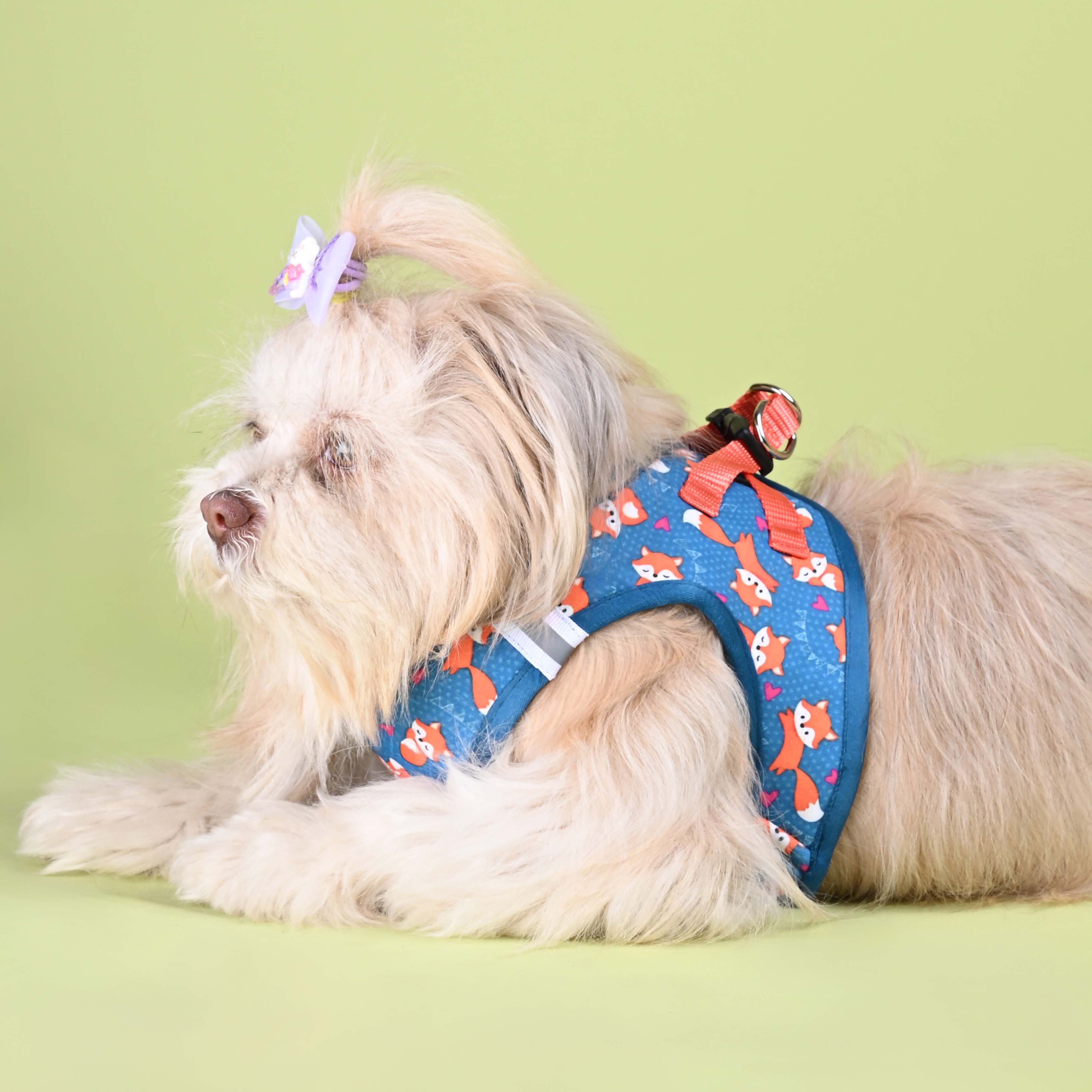 Foxie Full Body Comfort Harness (Small Breed)