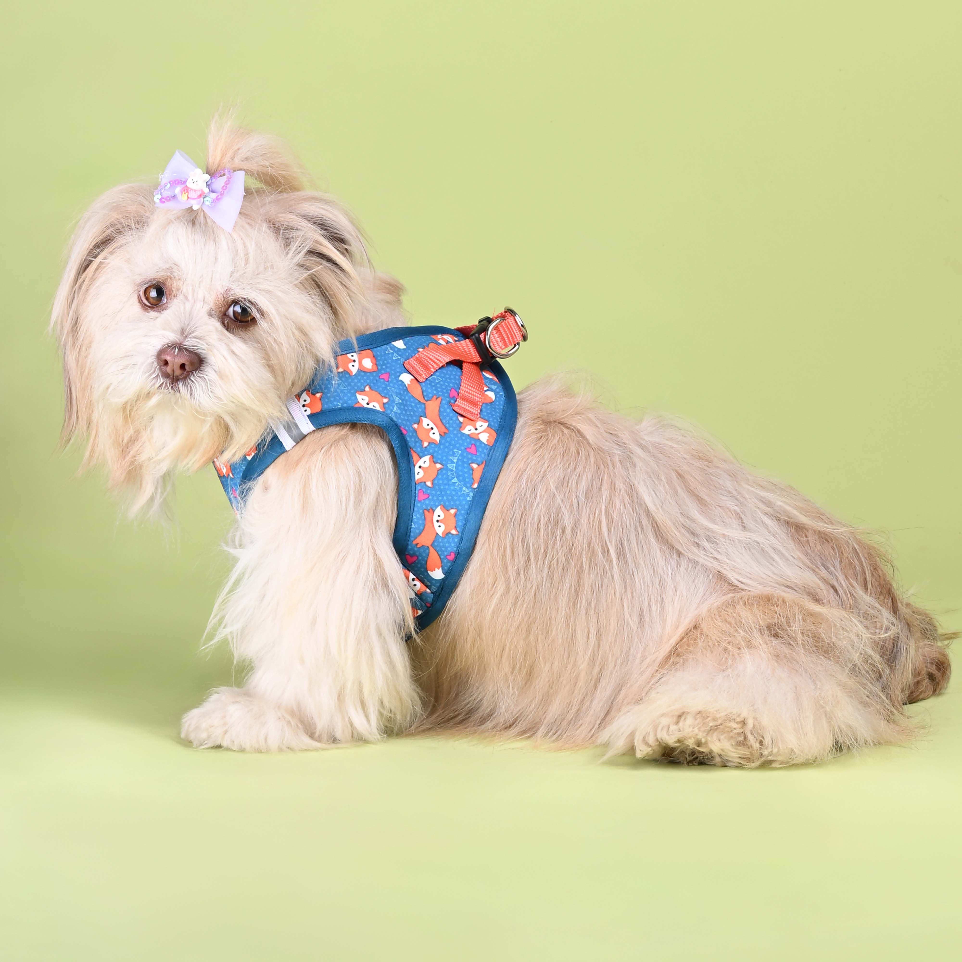 Foxie Full Body Comfort Harness (Small Breed)