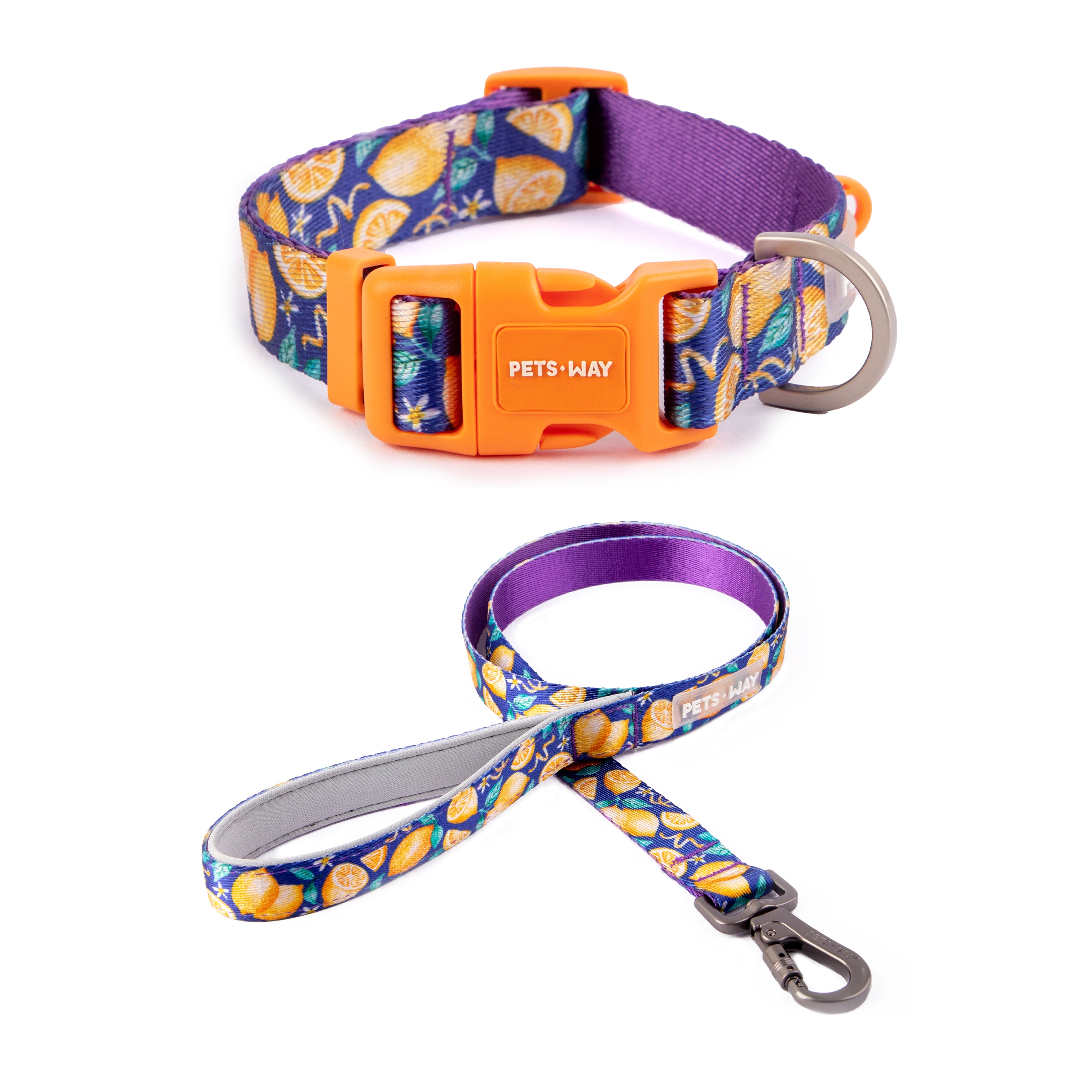 Autumn Dog Collar Leash Set