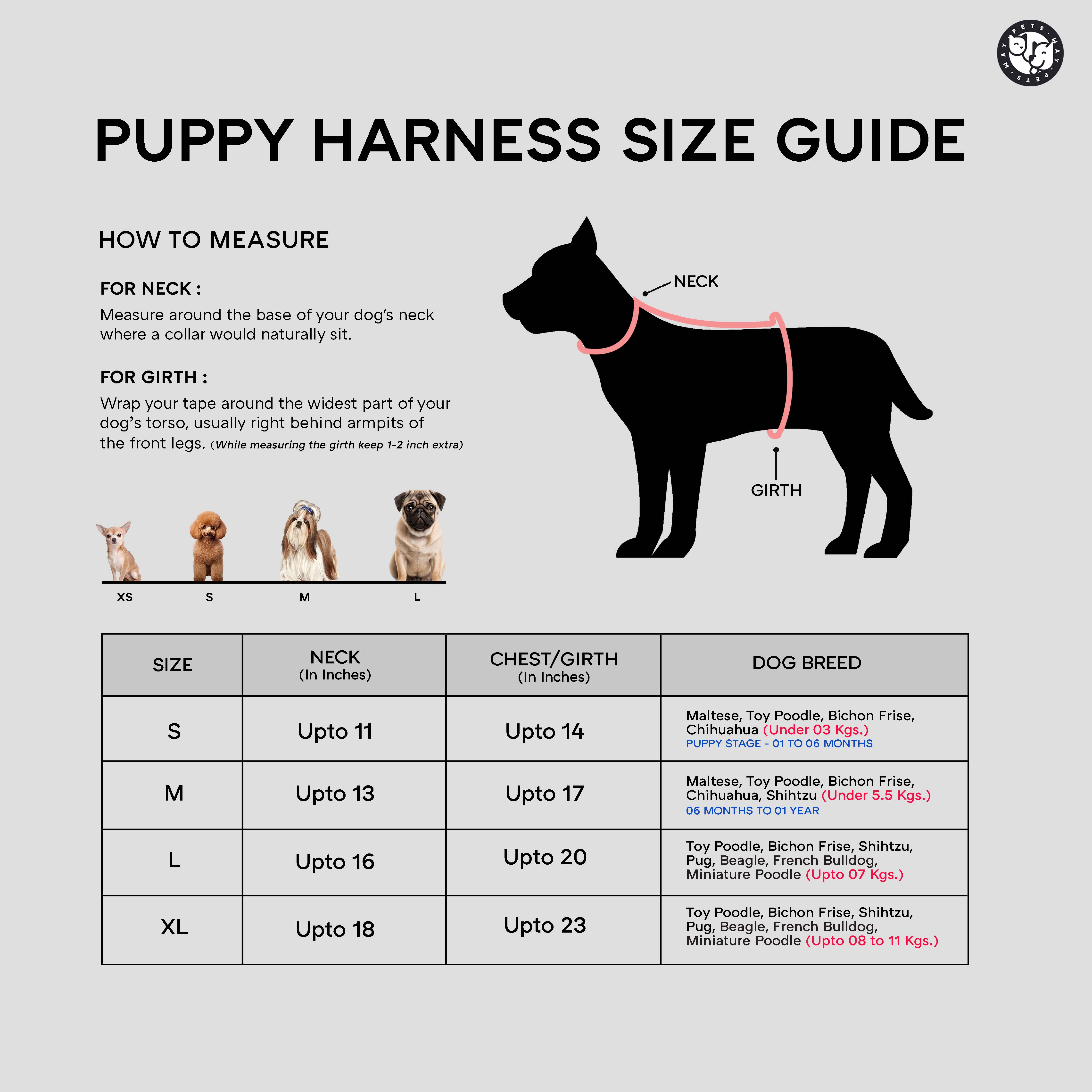 Fruity Full Body Comfort Harness (Small Breed)