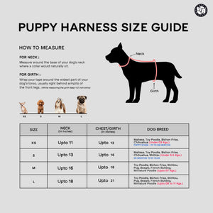 Blue Full Body Comfort Harness (Small Breed)