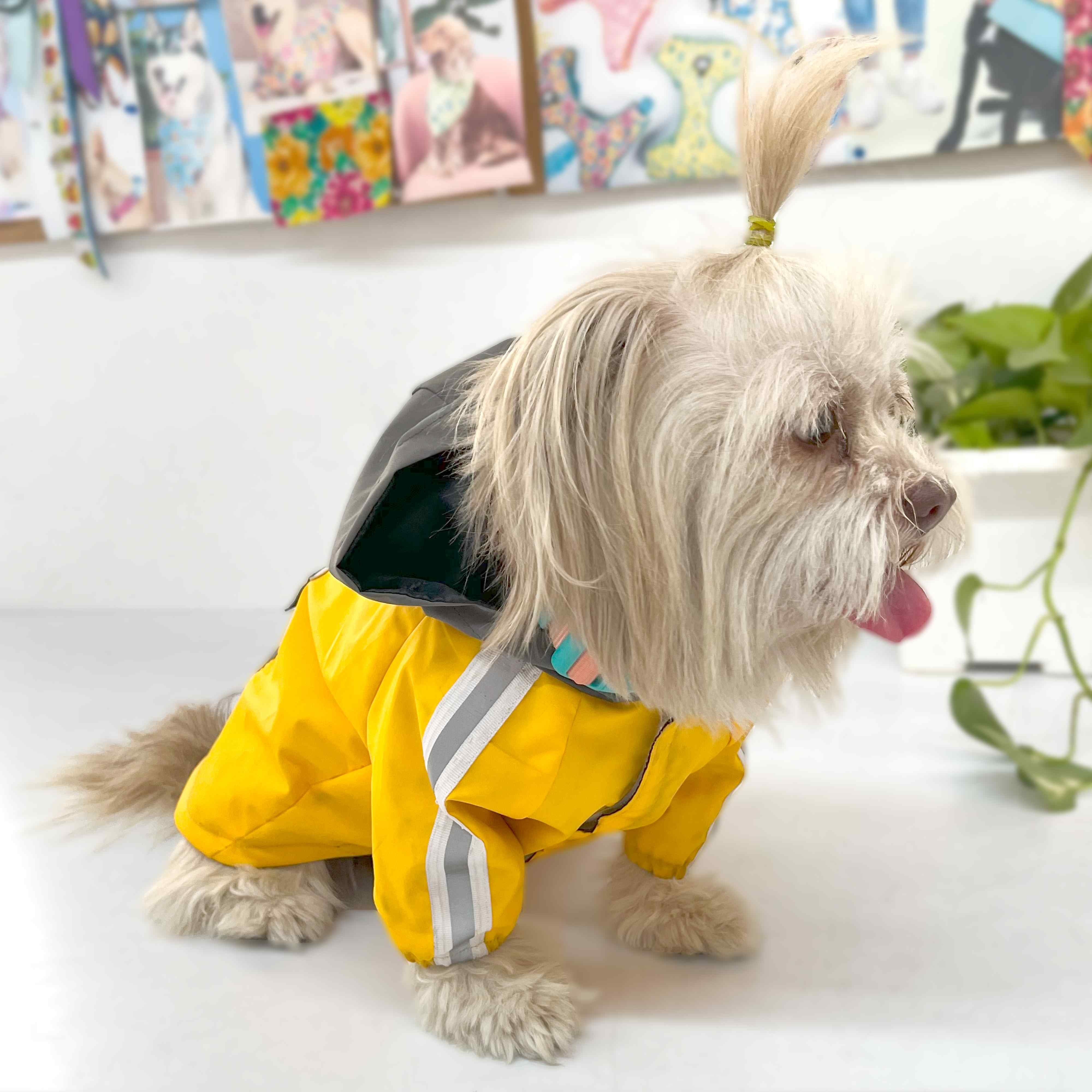 RainStorm Raincoat - Butterscoth