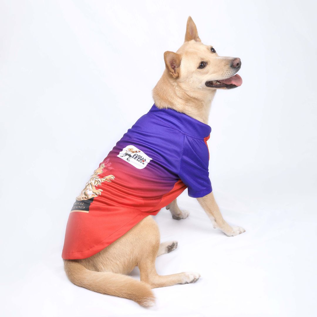 RCB IPL Dog T-Shirt