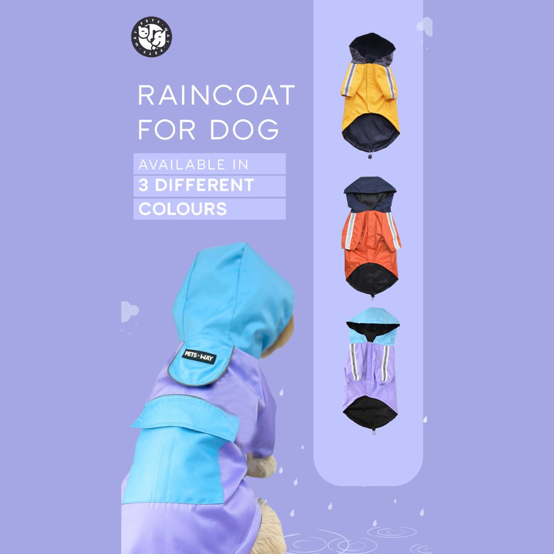 Pet raincoat lavender