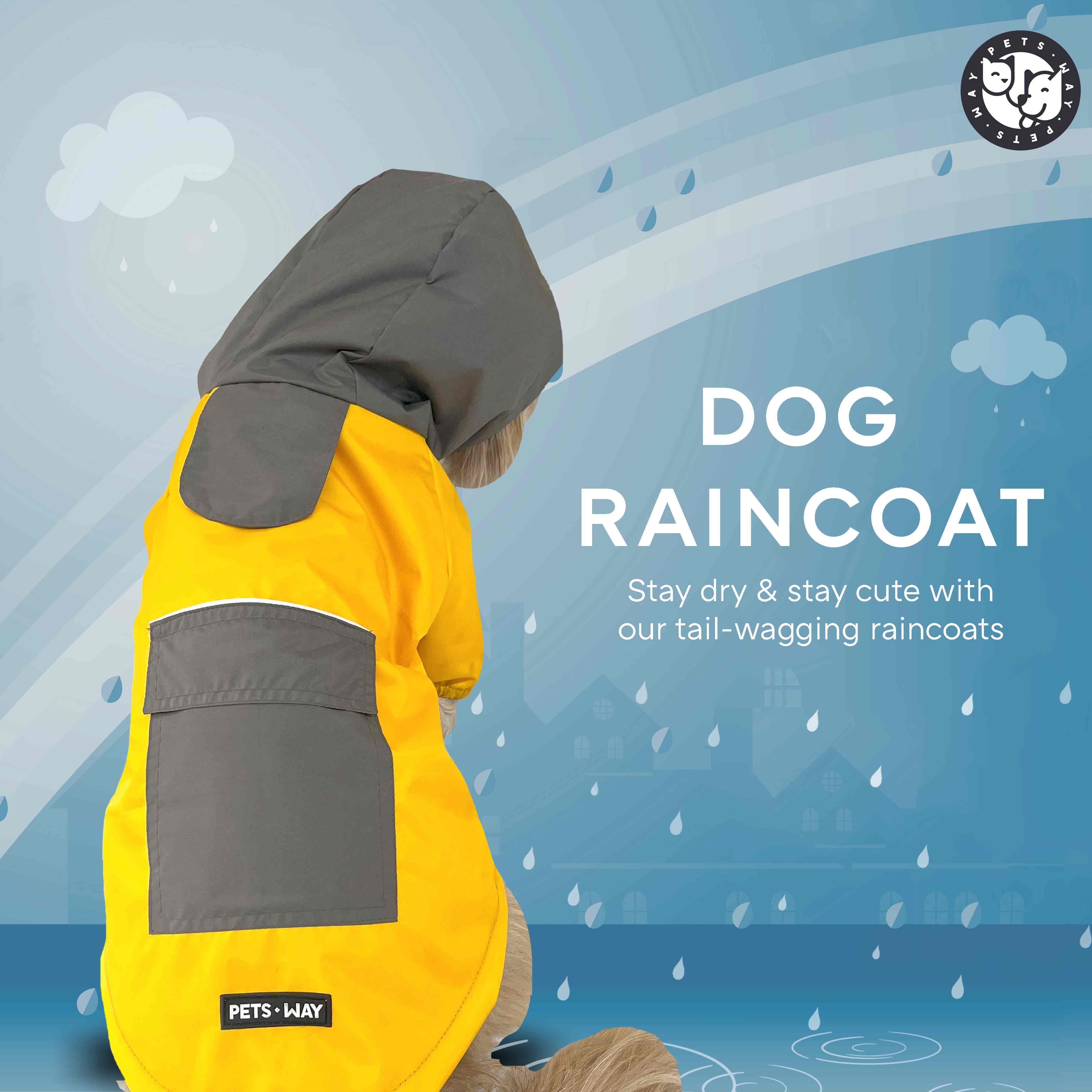 RainStorm Raincoat - Butterscoth