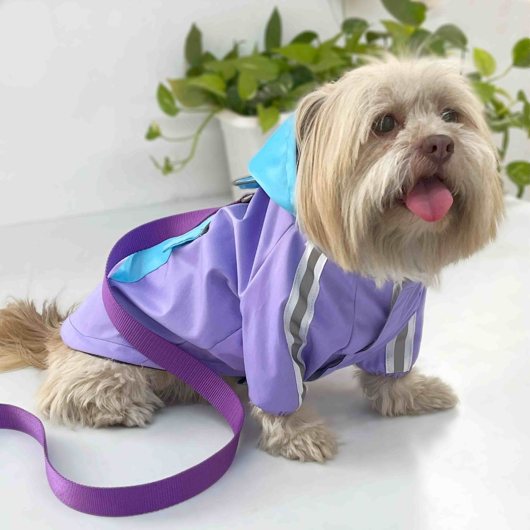 Lightweight dog raincoat