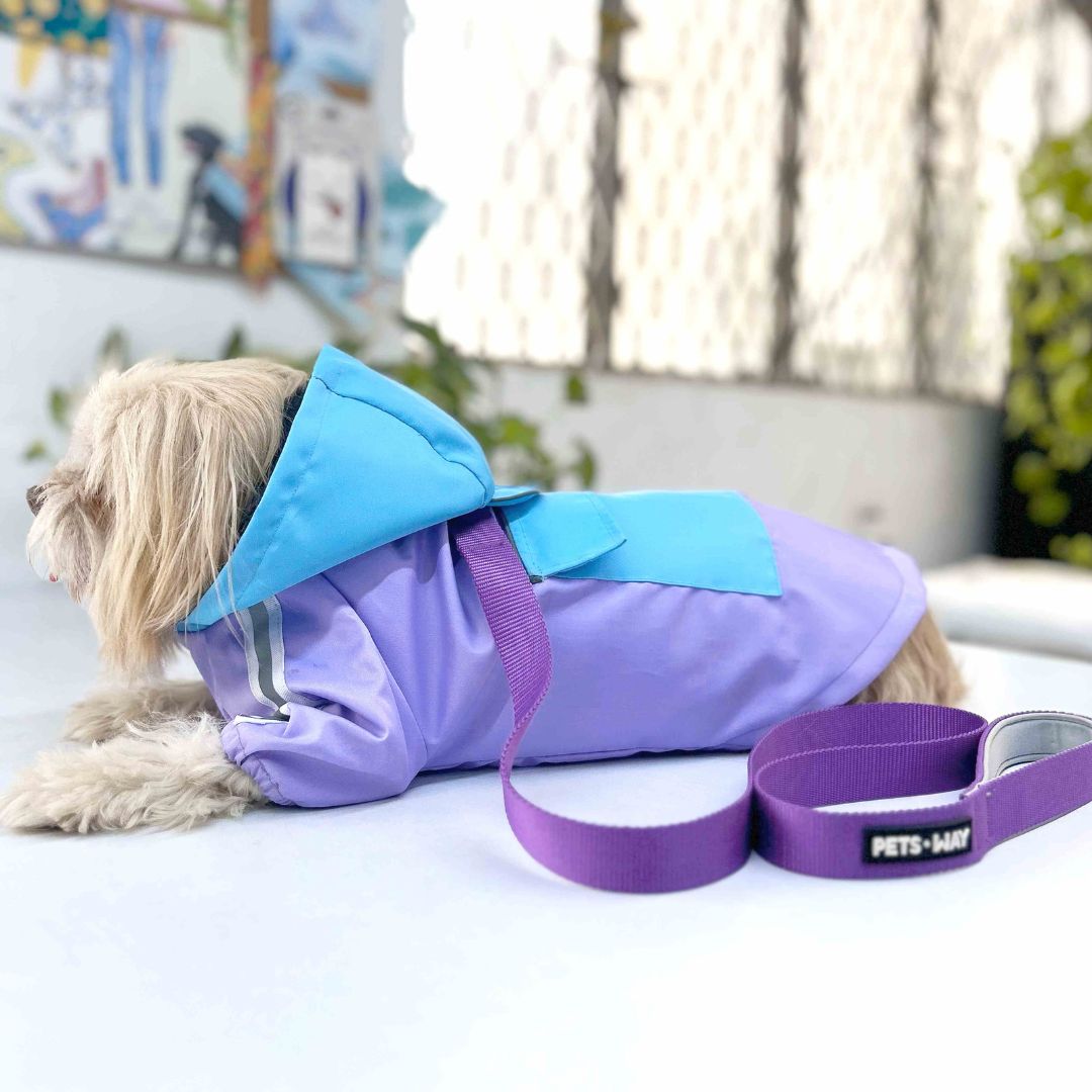 Dog outdoor raincoat