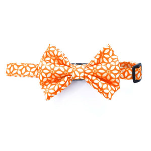 full size Rangoli Bow Tie-petsway