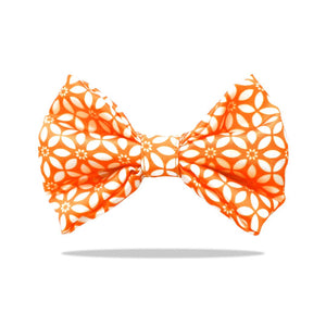 Rangoli Bow Tie-petsway