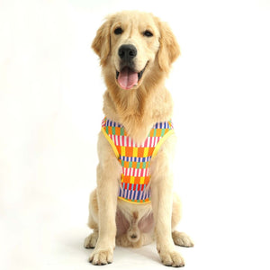 sitting dog wear Retro-Printed Dog Vest-petsway