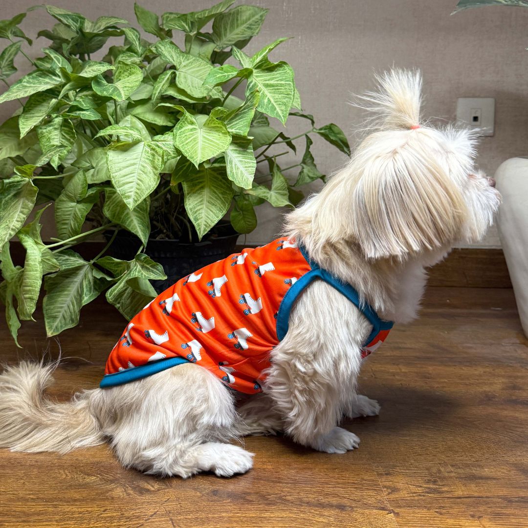 Roller skate vest side petsway