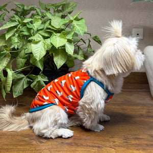 Roller skate vest side petsway