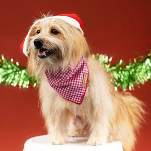dog wear Rose Gingham Bandana-petsway