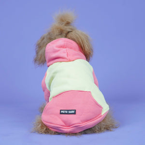 Icy Peak SweatShirt