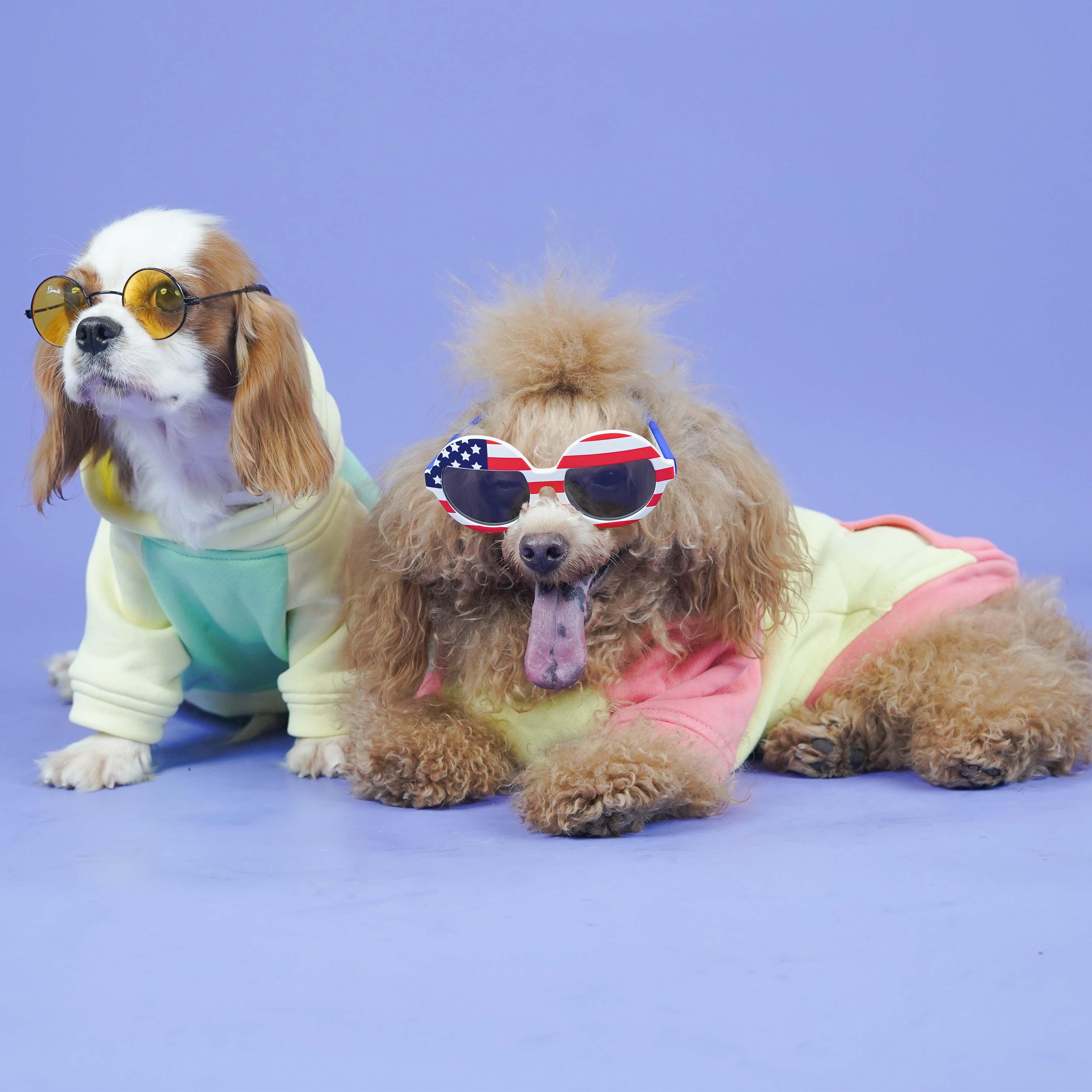 Icy Peak SweatShirt -Mint