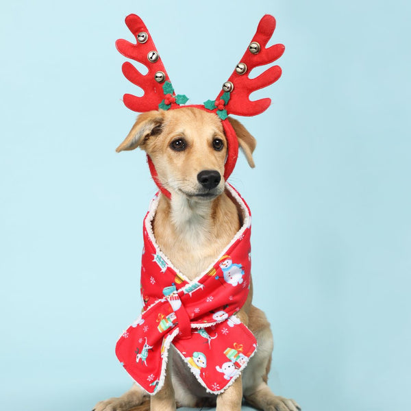 Santa Party Snood