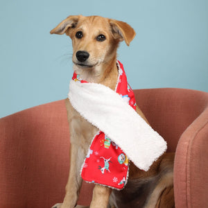 Adorable Pet Wearing Santa party Snood