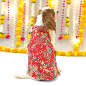 Dog Sherwani - Red