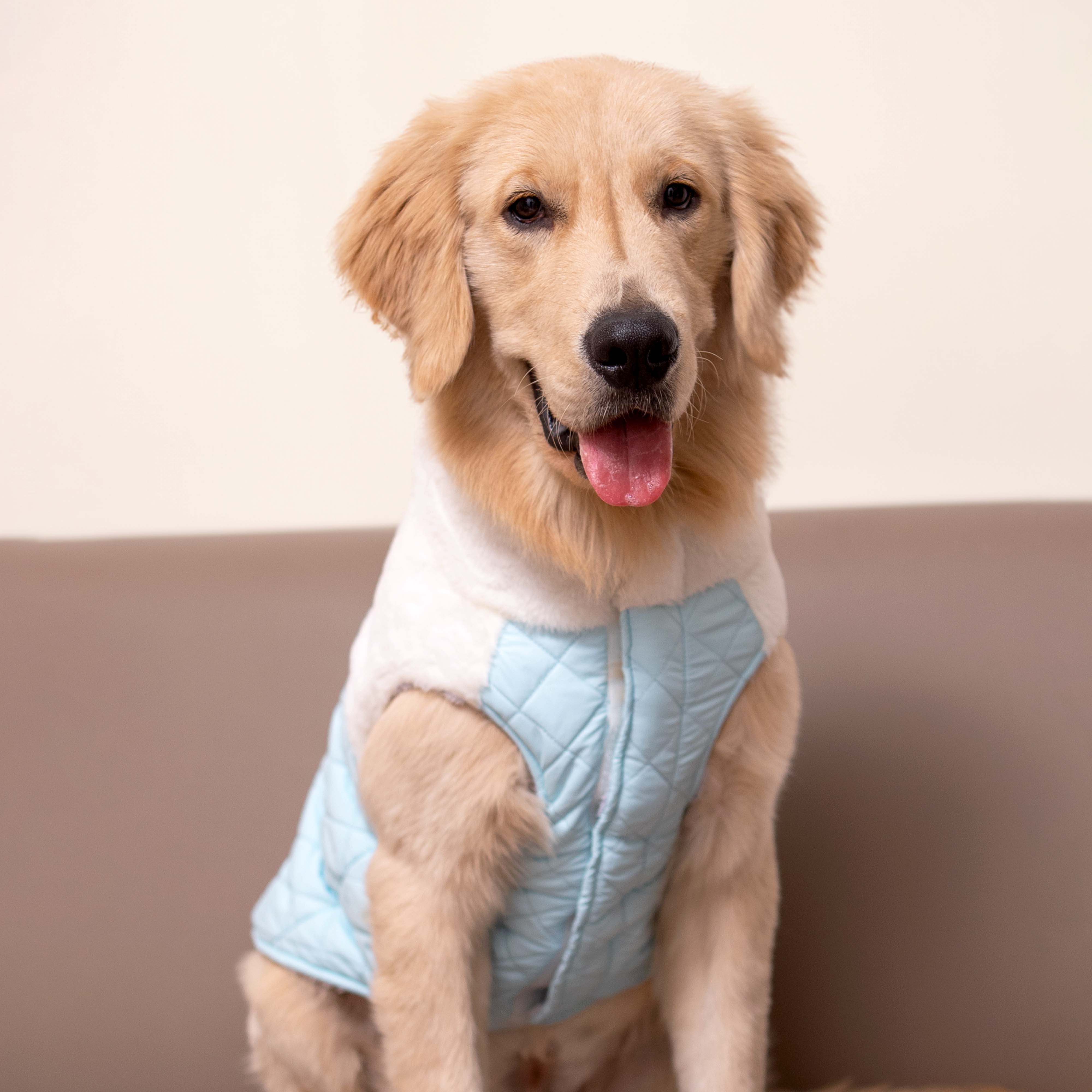 CozyQuilt - Sky Reversible Dog Jacket