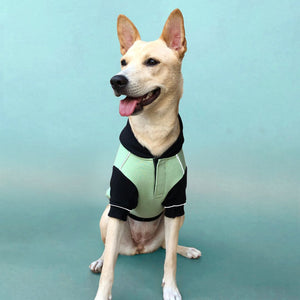 Stylish Snow Flake Dog Sweatshirt Petsway