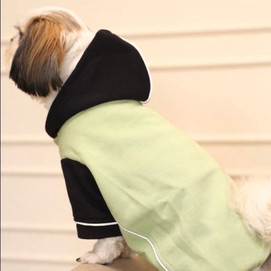 Pawfect Fit For every breed Petsway