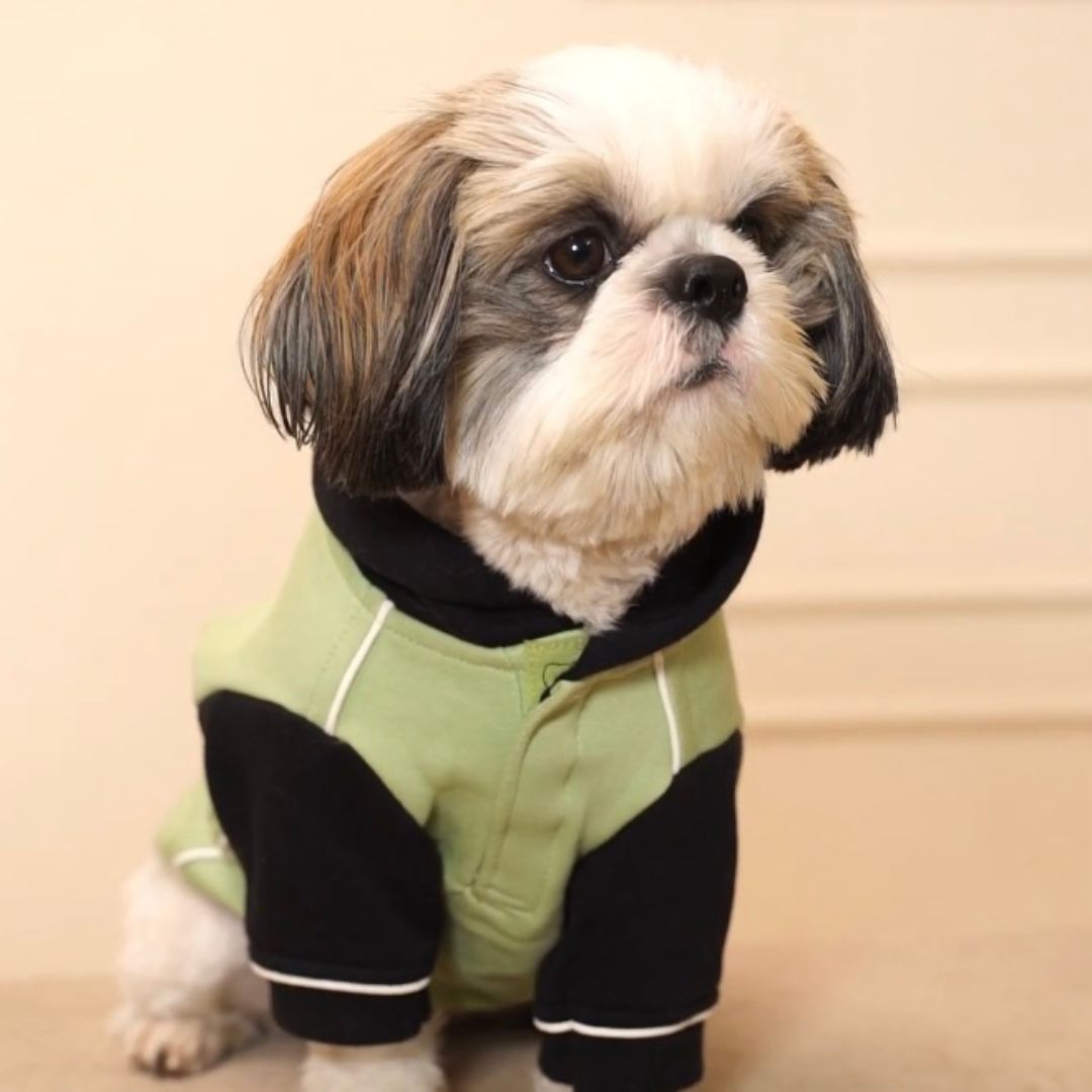 Adorable Snow Flake Dog Sweatshirt Petsway