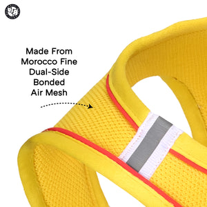Blue Full Body Comfort Harness (Small Breed)