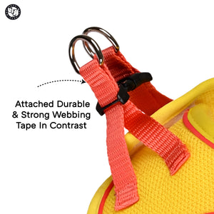 Blue Full Body Comfort Harness (Small Breed)