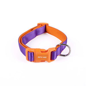 Amethyst Padded Dog collar