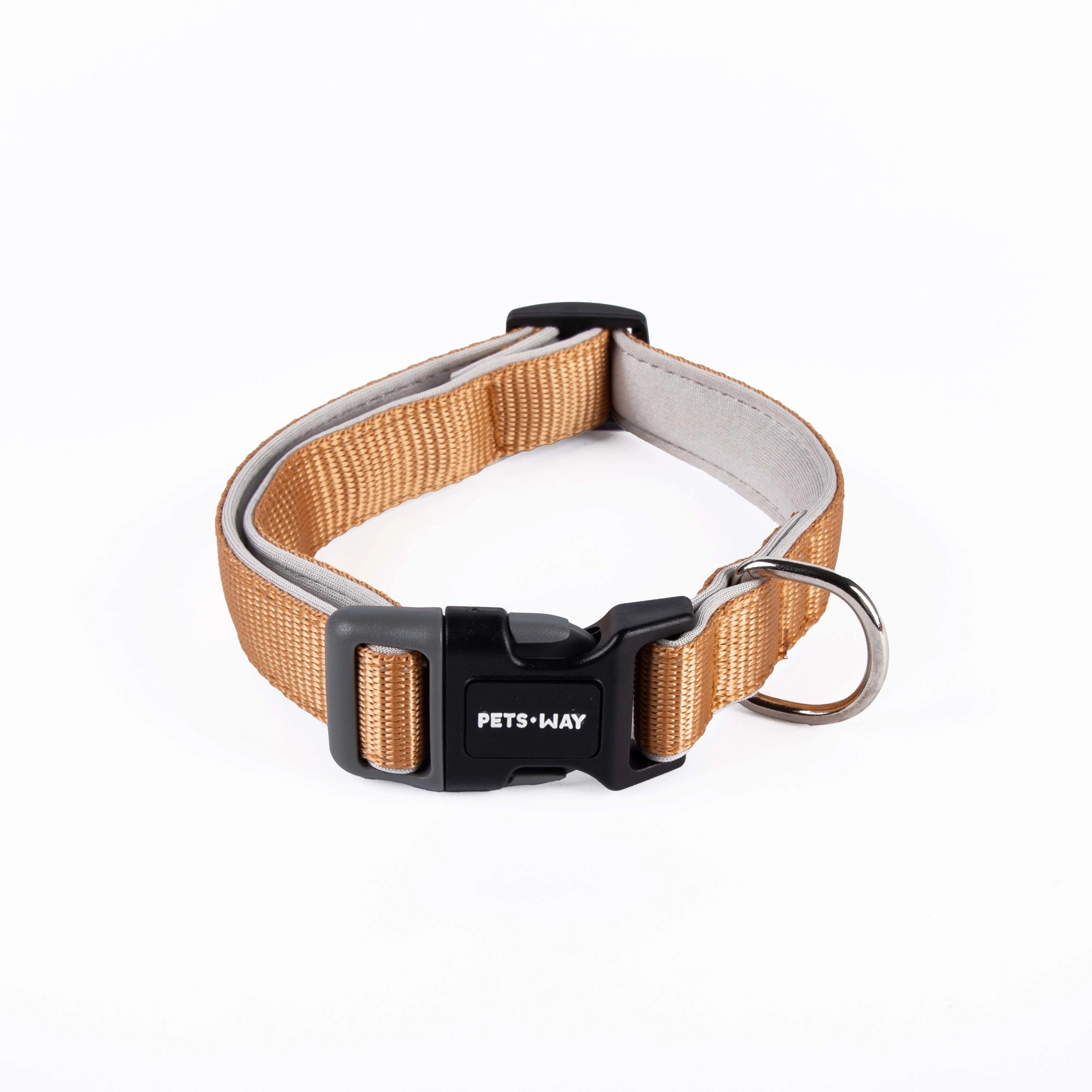 honey padded Dog collar