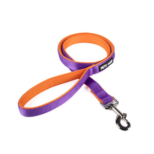 Amethyst padded Dog Leash