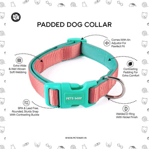 Emerald padded Dog Collar