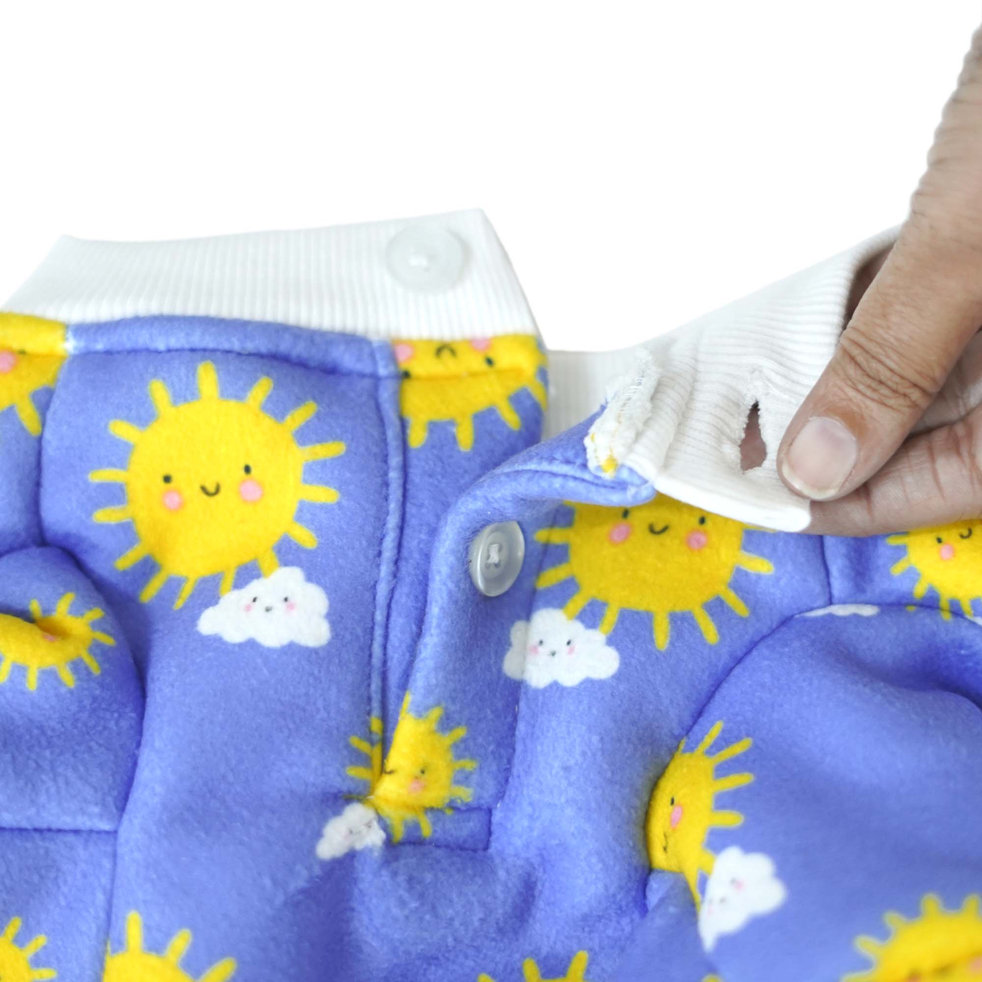 Sunlight Dog Sweatshirt