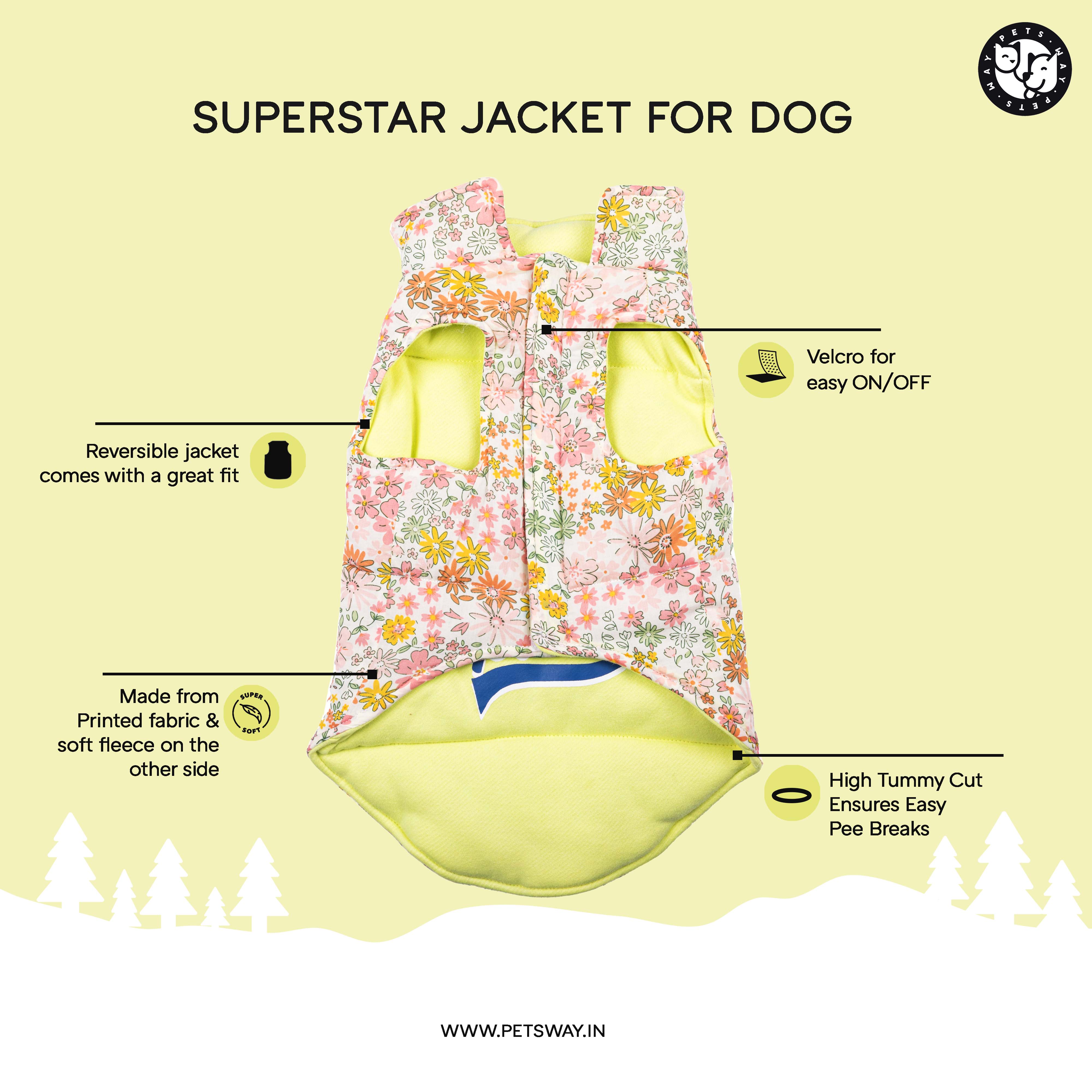 Superstar Reversible - Checks Dog Jacket