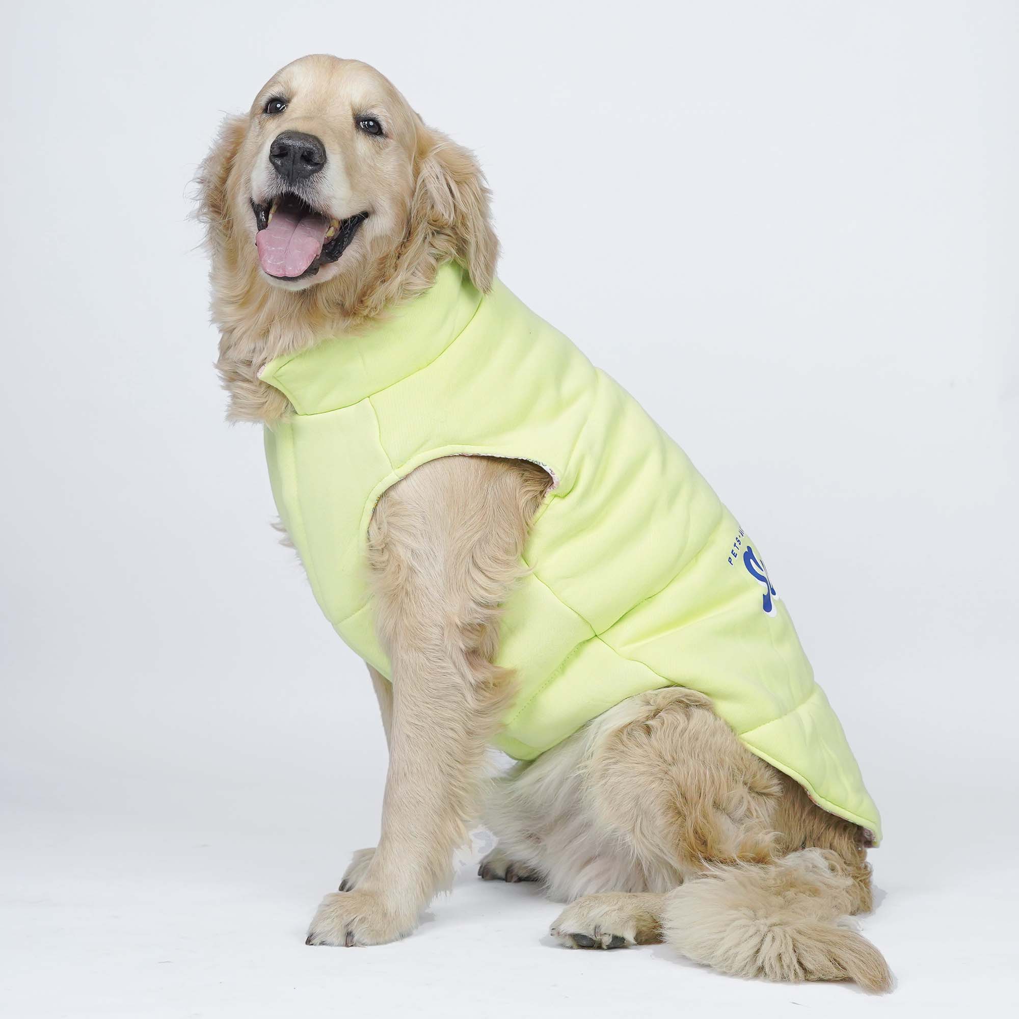 Superstar Reversible - Floral Dog Jacket