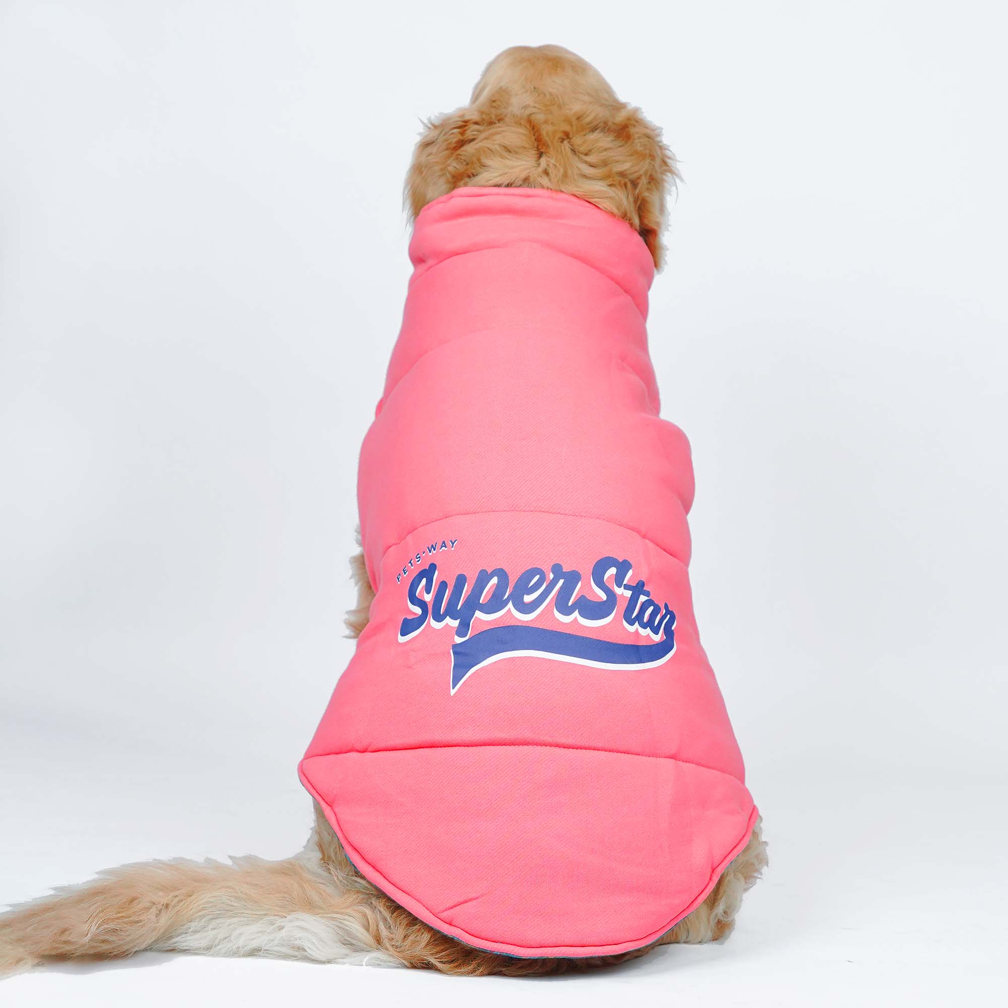 Superstar Reversible - Checks Dog Jacket