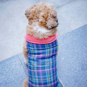 Back of check Side of Superstar Reversible - Checks Dog Jacket Petsway