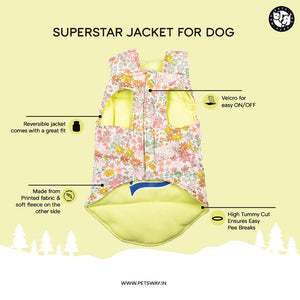 Featured image of Superjacket for Dog