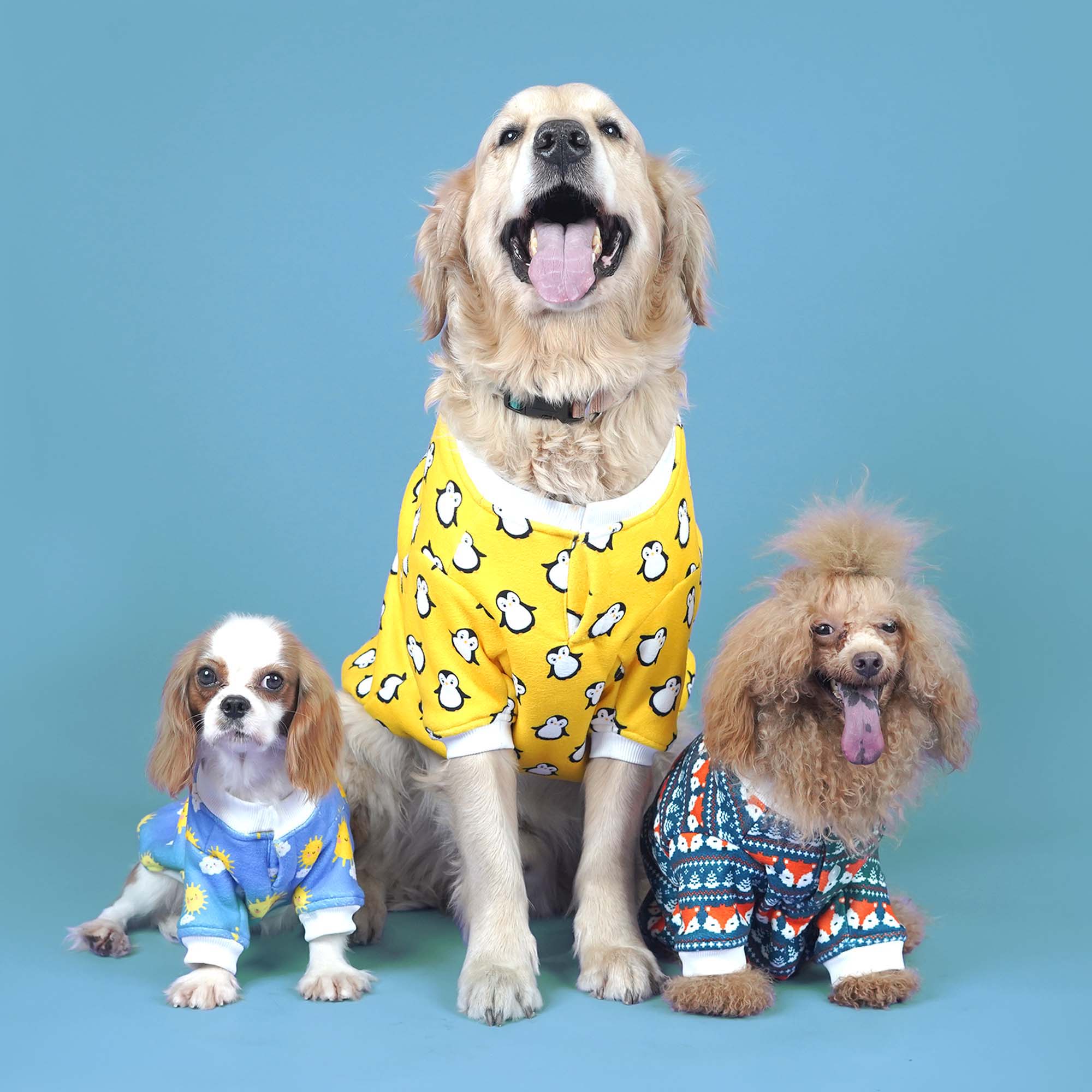 Sunlight Dog Sweatshirt