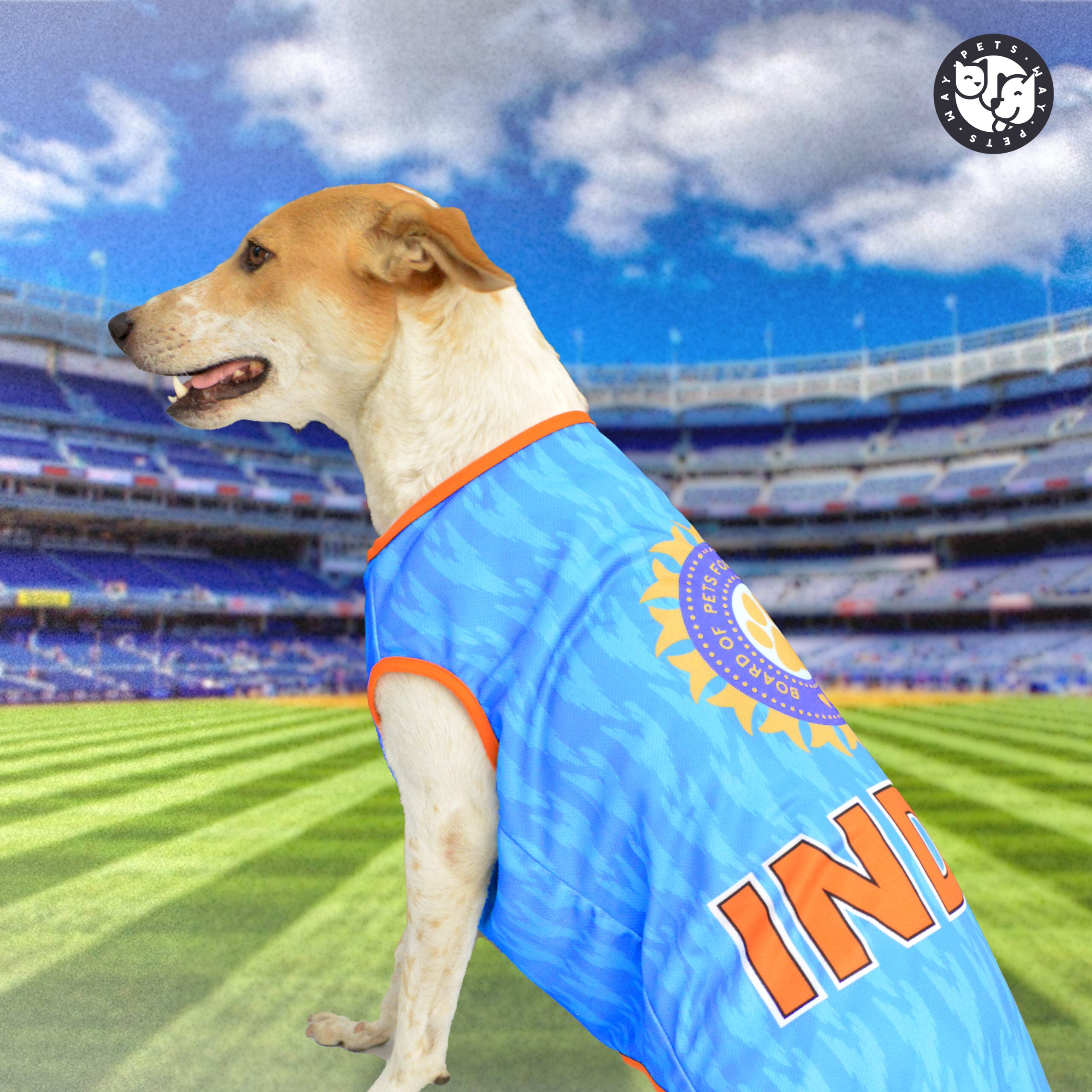 India Cricket Dog Jersey