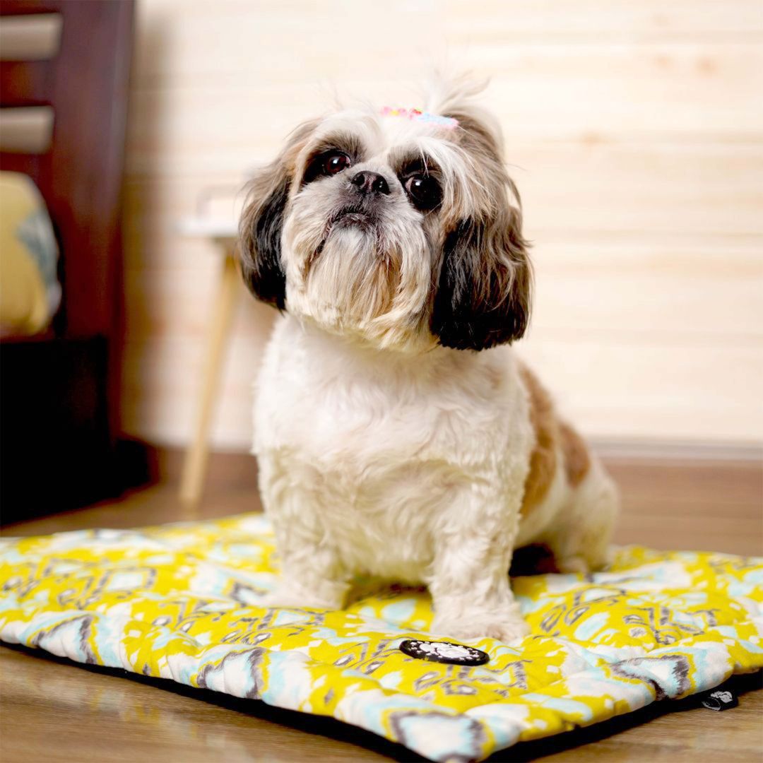 Anti-Skid Pet Mat Petsway