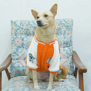 Crazy Pawsity – Tangerine Dog Jacket