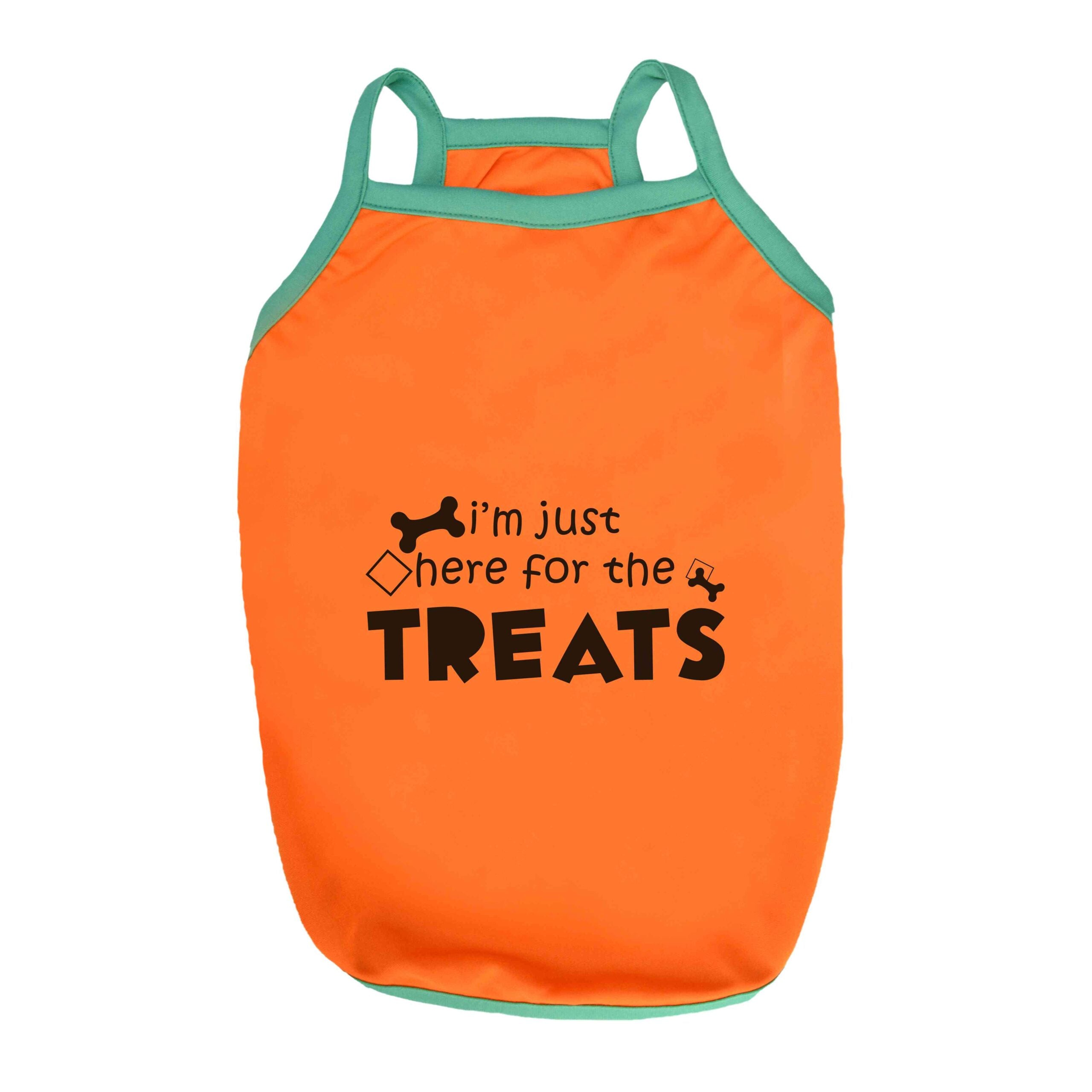 Treats Dog Vest