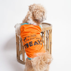 standing dog wear Treats Dog Vest-petsway