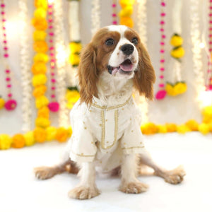 Utsav - Red Dog Kurta