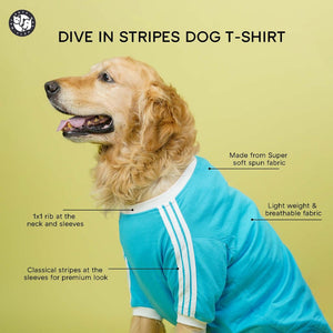Dive In Stripes- Set of 3 Dog TShirt