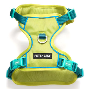Urban Trail Harness Neon