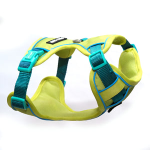 Urban Trail Harness Neon