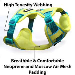 Urban Trail Harness Neon