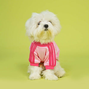 Dive In Stripes - Blush Dog TShirt